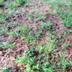 Meet your Posher, Gregory